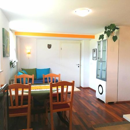Mateja House - Apartments In Zirovnica Rodine Buitenkant foto