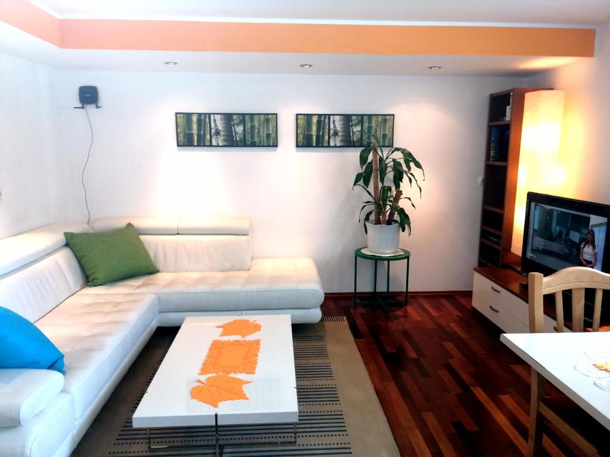 Mateja House - Apartments In Zirovnica Rodine Buitenkant foto