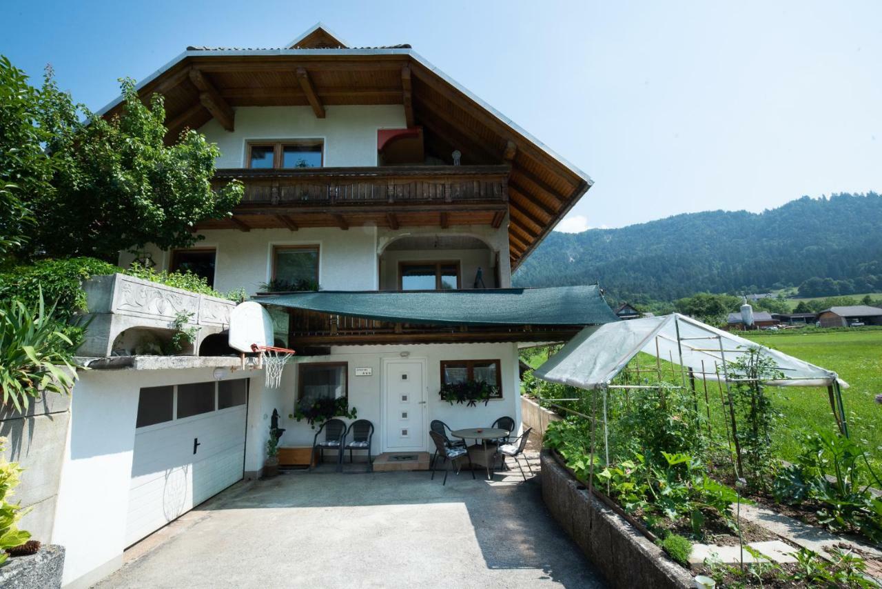 Mateja House - Apartments In Zirovnica Rodine Buitenkant foto