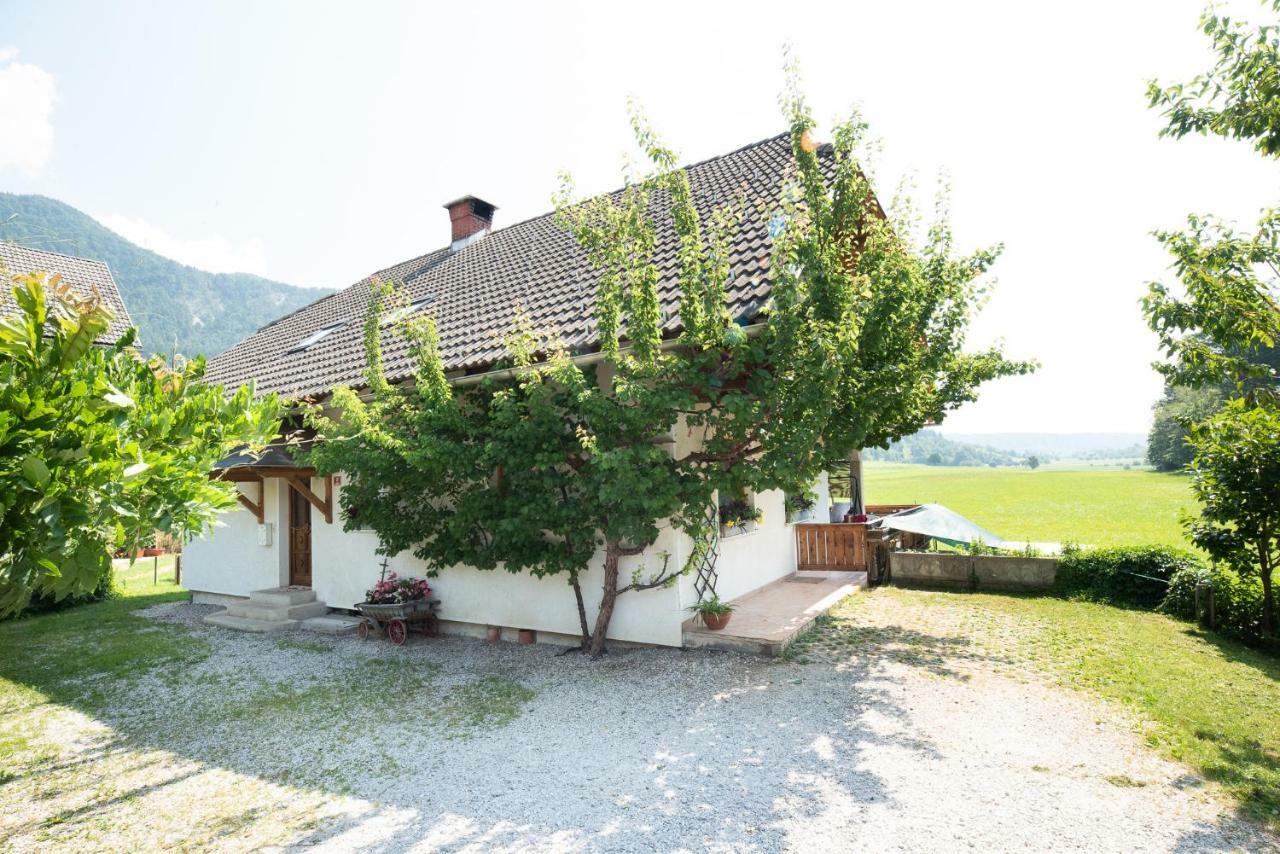 Mateja House - Apartments In Zirovnica Rodine Buitenkant foto