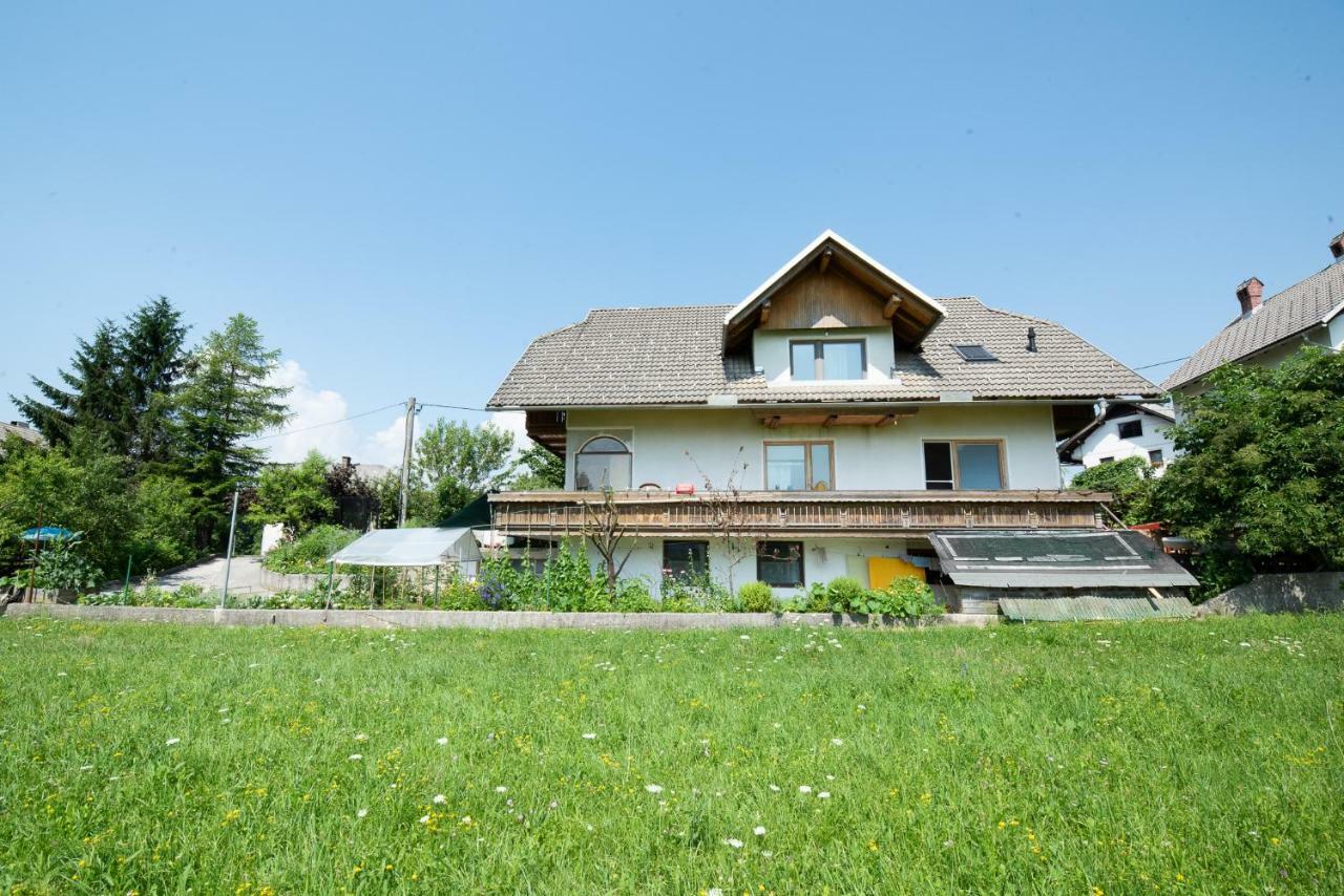 Mateja House - Apartments In Zirovnica Rodine Buitenkant foto